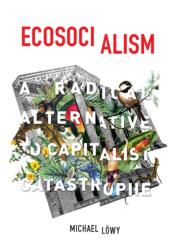 Ecosocialism (ISBN: 9781608464715)