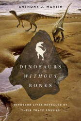 Dinosaurs Without Bones - Anthony J. Martin (ISBN: 9781605987033)