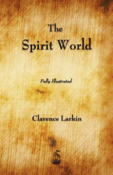 Spirit World - Clarence Larkin (ISBN: 9781603864893)