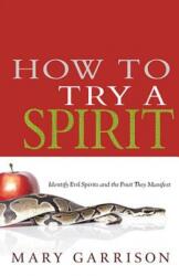 How to Try a Spirit (ISBN: 9781603749602)