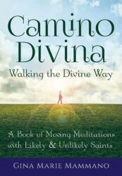 Camino Divina--Walking the Divine Way: A Book of Moving Meditations with Likely and Unlikely Saints (ISBN: 9781594736162)