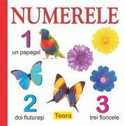 Numerele - Diana Rotaru (ISBN: 9789732013892)