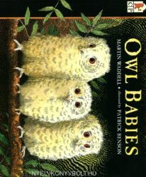 Owl Babies (2002)