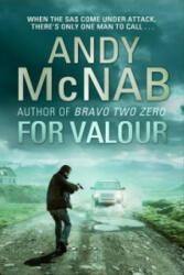 For Valour - Andy McNab (2015)