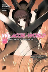 Accel World, Vol. 6 (light novel) - Reki Kawahara (2016)