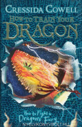 How to Train Your Dragon: How to Fight a Dragon's Fury (2016)