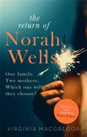 The Return of Norah Wells (2016)