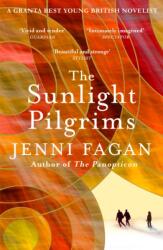 The Sunlight Pilgrims (2016)