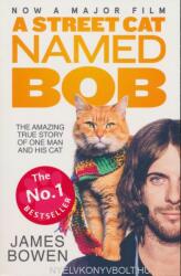 A Street Cat Named Bob Film Tie In (2016)
