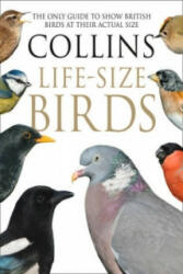 Collins Life-Size Birds - The Only Guide to Show British Birds at Their Actual Size (2016)