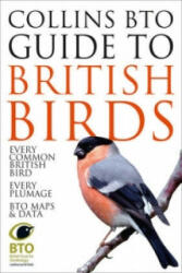 Collins BTO Guide to British Birds - Paul Sterry, Paul Stannard (2015)