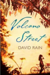Volcano Street - David (Author) Rain (2015)