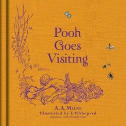 Winnie-the-Pooh: Pooh Goes Visiting - A A Milne (2016)