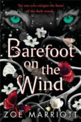 Barefoot on the Wind - Zoe Marriott (2016)