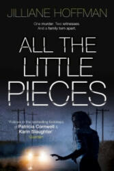 All The Little Pieces - Jilliane Hoffman (2016)
