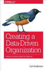 Creating a Data-Driven Organization - Carl Anderson (2015)