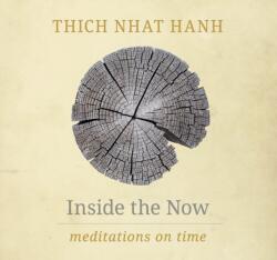 Inside the Now (2015)