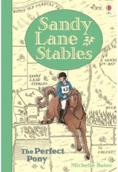 Sandy Lane Stables The Perfect Pony - Michelle Bates (2016)