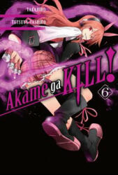 Akame Ga Kill! Volume 6 (2016)