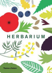 Herbarium - Caz Hildebrand (ISBN: 9780500518939)
