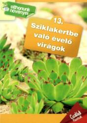 Sziklakertbe való évelő virágok - Otthonunk növényei 13 (ISBN: 9789632515137)