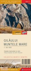 Gilăului. Muntele Mare - Hartă de drumeție (ISBN: 5948490930191)