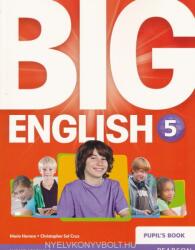 Big English 5 Pupils Book (ISBN: 9781447951308)