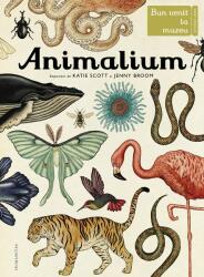 Animalium. Bun venit la muzeu. Intrarea libera - Katie Scott, Jenny Broom (ISBN: 9789735051327)
