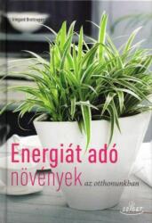 Energiát adó növények az otthonunkban - Irmgard Brottrager (2016)