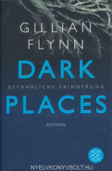 Gillian Flynn: Gillian Flynn: Dark Places - Gefährliche Erinnerung (ISBN: 9783596173983)