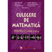 Culegere de matematica. Clasa a VI-a (ISBN: 9789738473607)