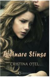 Felinare stinse (ISBN: 9786069420508)