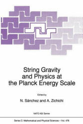 String Gravity and Physics at the Planck Energy Scale - Norma G. S, Antonino Zichichi (ISBN: 9789401065894)