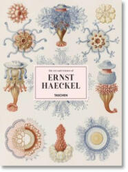 Art and Science of Ernst Haeckel - Rainer Willman (ISBN: 9783836526463)