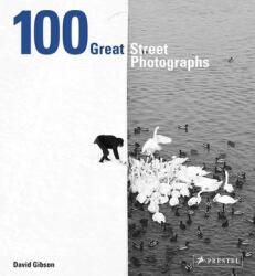 100 Great Street Photographs (ISBN: 9783791383132)
