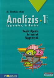 Dr. Ábrahám István - Analízis 1. - Boole algebra - Sorozatok - Függvények - MS-3252 (ISBN: 9789636974794)