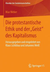 Protestantische Ethik Und Der "geist" Des Kapitalismus - Max Weber, Klaus Lichtblau, Johannes Weiß (ISBN: 9783658074319)