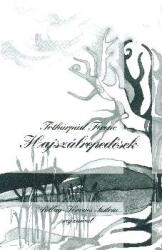 Hajszálrepedések - Pállay-Kovács Szilvia rajzaival (ISBN: 9789638759320)