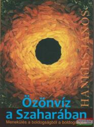 Özönvíz a Szaharában (ISBN: 9789636624323)