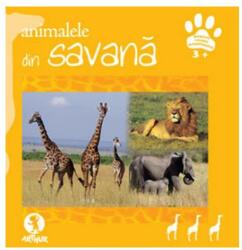 Animale din savana (ISBN: 9789738898813)