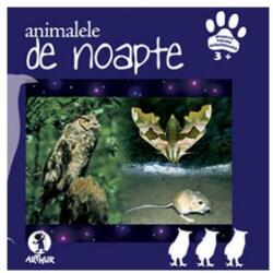 Animalele de noapte (ISBN: 9789738898851)