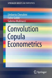 Convolution Copula Econometrics - Umberto Cherubini, Fabio Gobbi, Sabrina Mulinacci (ISBN: 9783319480145)