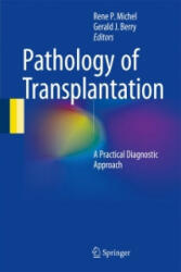 Pathology of Transplantation - René P. Michel, Gerald J. Berry (ISBN: 9783319296814)