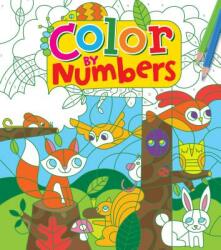 Color by Numbers - Lizzy Doyle (ISBN: 9781784284695)