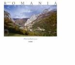 Album Made in Romania (germana) - Florin Andreescu, Mariana Pascaru (ISBN: 9786068050058)