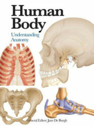 Human Body - Jane de Burgh (ISBN: 9781782743774)