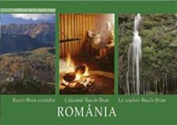 Album Culoarul Rucar-Bran - Florin Andreescu (ISBN: 9789737887368)