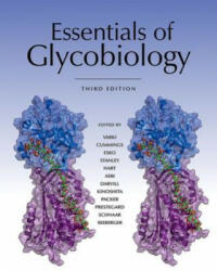 Essentials of Glycobiology, Third Edition (ISBN: 9781621821328)