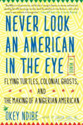 Never Look An American In The Eye - Okey Ndibe (ISBN: 9781616958633)