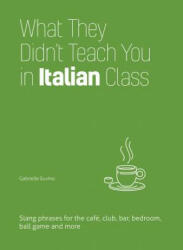 What They Didn't Teach You In Italian Class - Gabrielle Euvino (ISBN: 9781612436784)